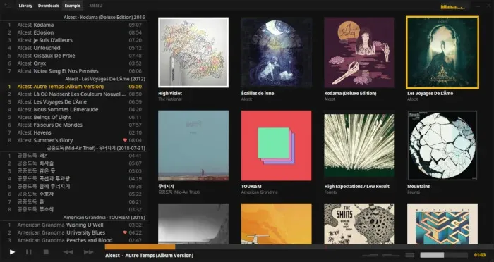 Screenshot of the gallery view