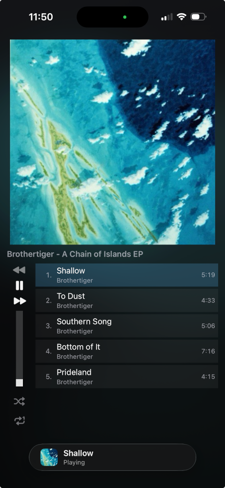 Tauon for iOS screenshot